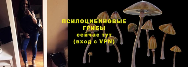 бутират Арсеньев