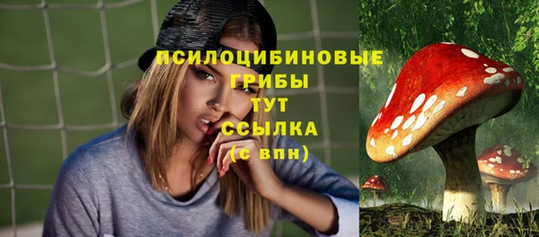 бутират Арсеньев