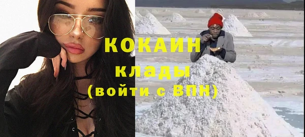 тгк Алзамай