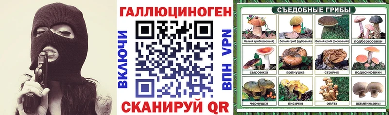 Псилоцибиновые грибы мицелий Сочи