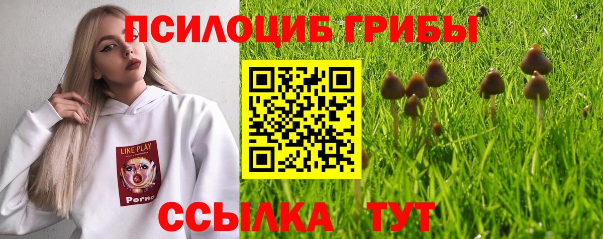 Псилоцибиновые грибы мухоморы  Вход с VPN  Сочи 